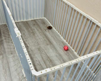 飼育のご相談も可能